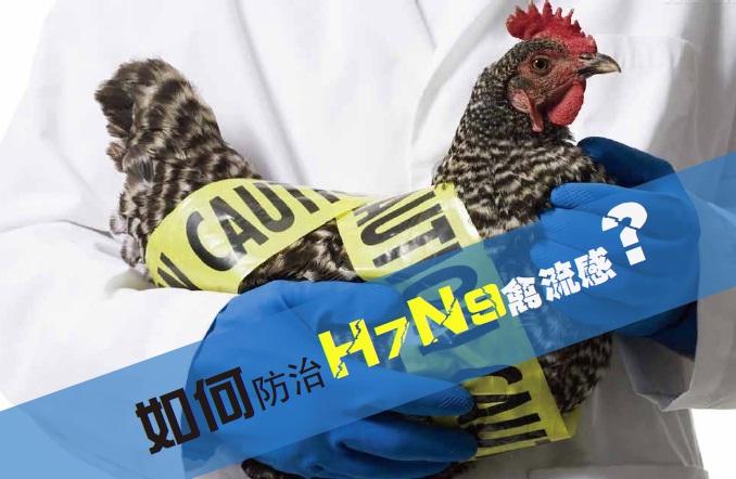 H7N9流感防控知識及檢測方法專題培訓(xùn)火熱報(bào)名中