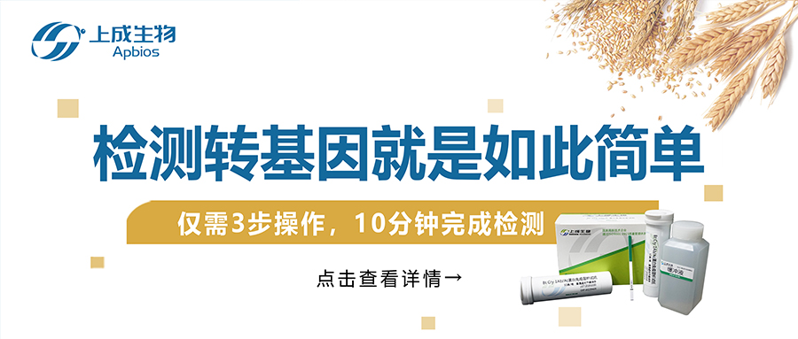 檢測轉基因就是如此簡單