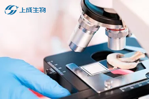 喜報，上成生物攜手荊州市四大檢測部門擬定食用農(nóng)產(chǎn)品快檢實驗室建設(shè)運行標(biāo)準(zhǔn)