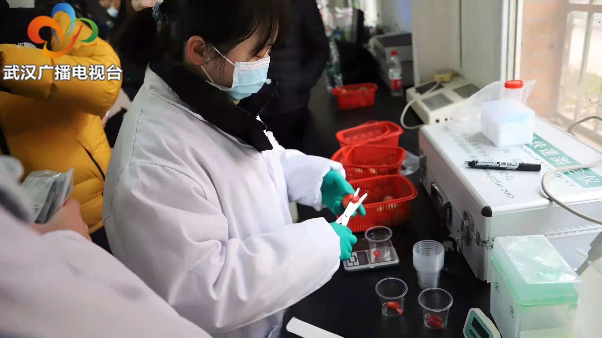 上成生物助力武漢市農業(yè)農村局現(xiàn)場抽查草莓農藥殘留